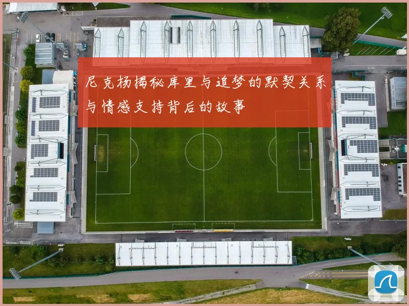 尼克杨揭秘库里与追梦的默契关系与情感支持背后的故事
