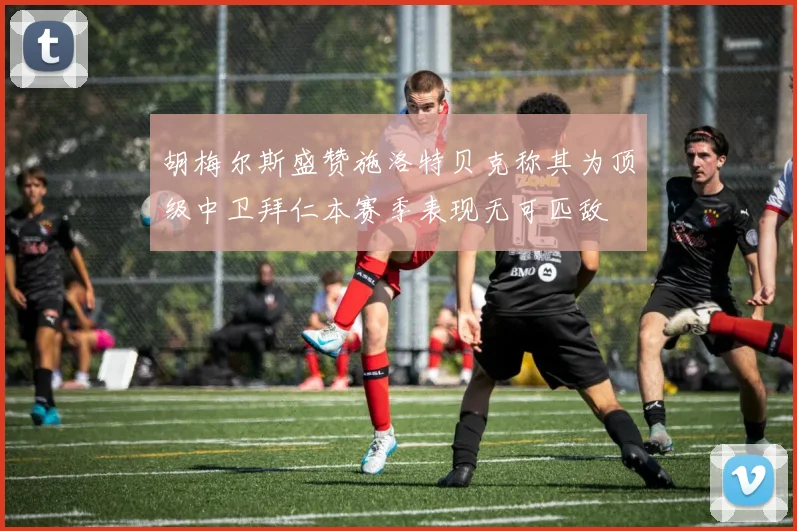 胡梅尔斯盛赞施洛特贝克称其为顶级中卫拜仁本赛季表现无可匹敌